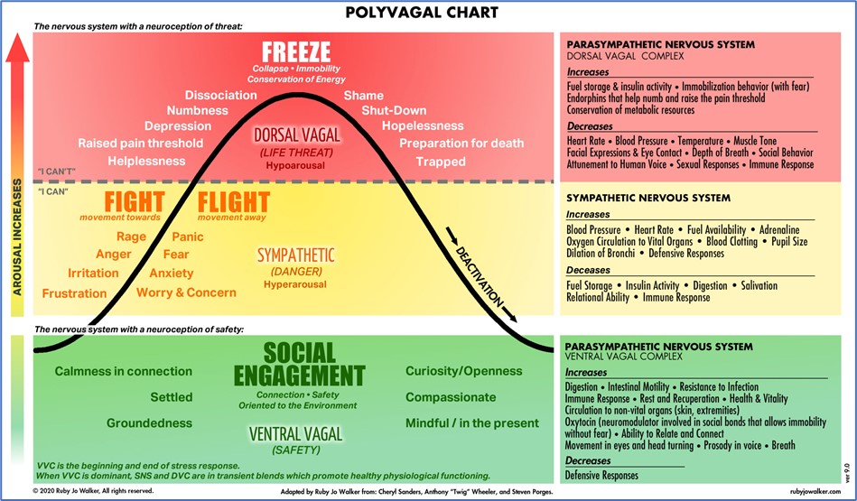 Polyvagal Chart