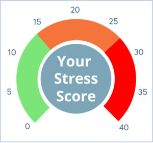 Your Stress Score