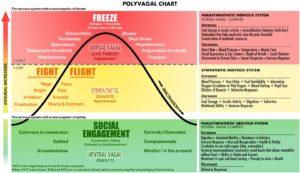 PolyVagal Chart
